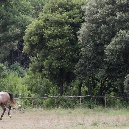 Apartamento Fioretti *