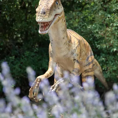 Fioretti Apartamento