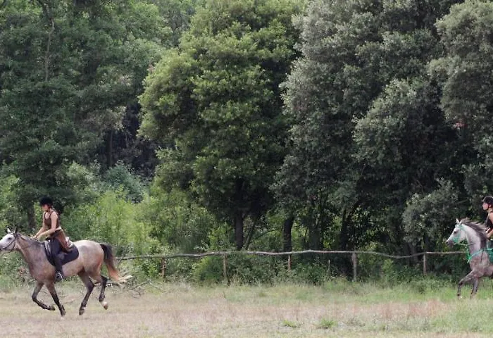 Appartement Fioretti *