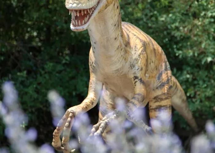 Fioretti Appartement